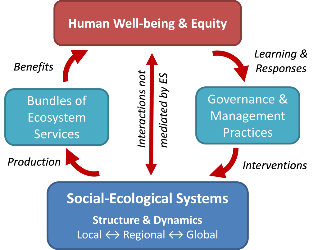 theoretical frameworks of human services Given the rich complexity of human thought and behavior, it is difficult to believe that any one theoretical model of psychotherapy provides an absolute solution to all human dilemmas. theoretical frameworks of human services Given the rich complexity of human thought and behavior, it is difficult to believe that any one theoretical model of psychotherapy provides an absolute solution to all human dilemmas.